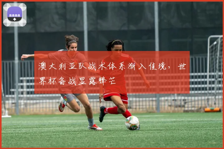 澳大利亚队战术体系渐入佳境,世界杯备战显露锋芒