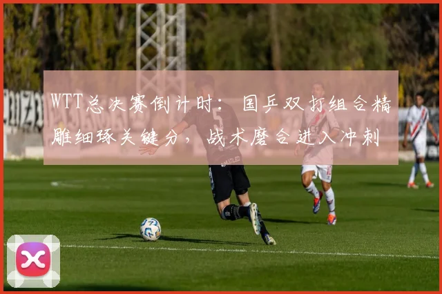 WTT总决赛倒计时:国乒双打组合精雕细琢关键分,战术磨合进入冲刺阶段
