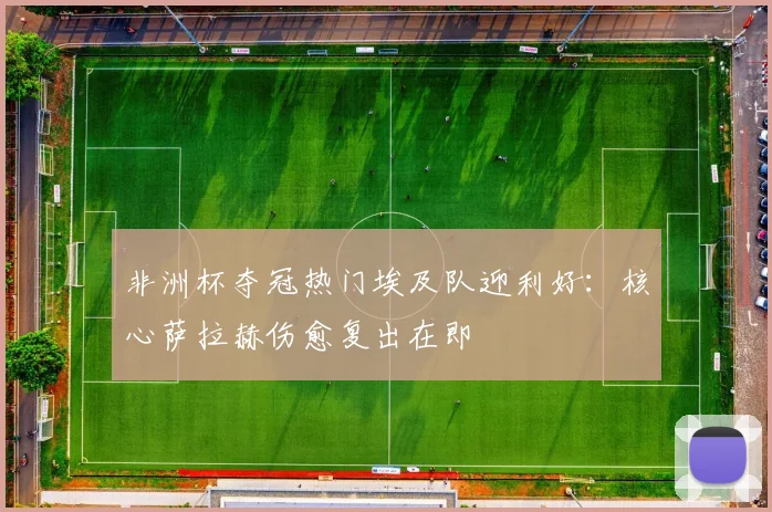 非洲杯夺冠热门埃及队迎利好:核心萨拉赫伤愈复出在即