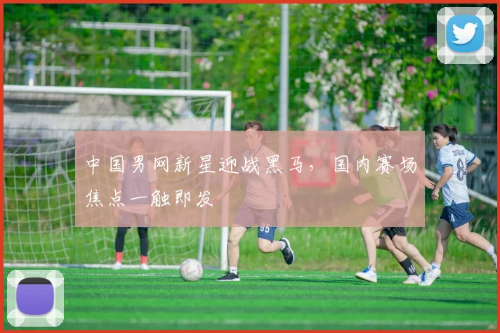 中国男网新星迎战黑马，国内赛场焦点一触即发