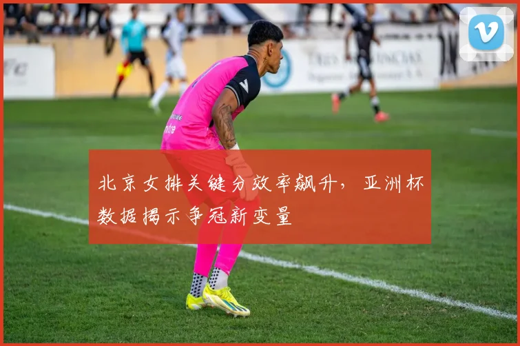 北京女排关键分效率飙升,亚洲杯数据揭示争冠新变量