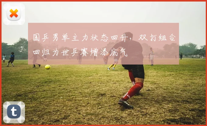 国乒男单主力状态回升,双打组合回归为世乒赛增添底气