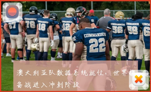 澳大利亚队数据系统就位,世界杯备战进入冲刺阶段